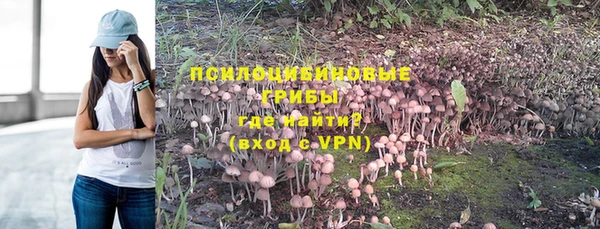 мяу мяу мука Баксан