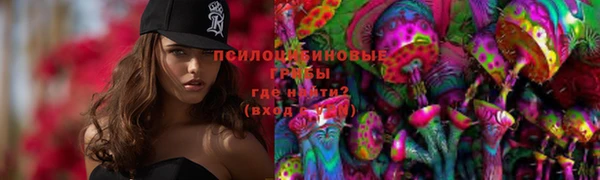 мяу мяу мука Баксан