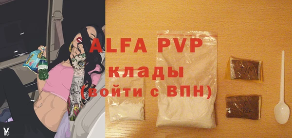 мяу мяу мука Баксан