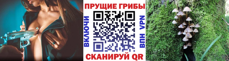 Псилоцибиновые грибы мицелий  Татарск 